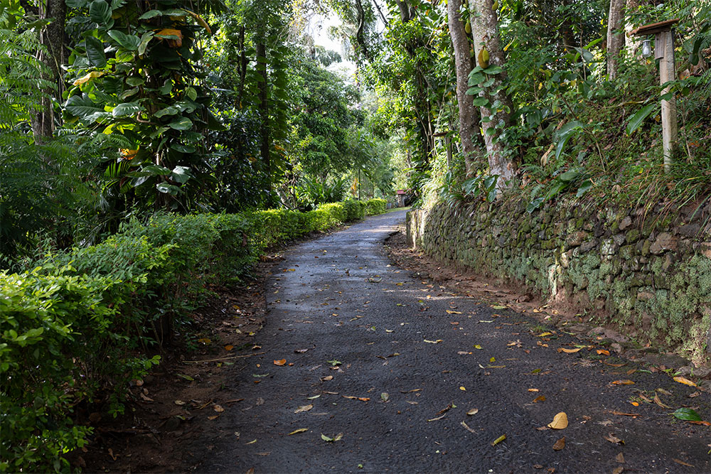 Road to Roseland